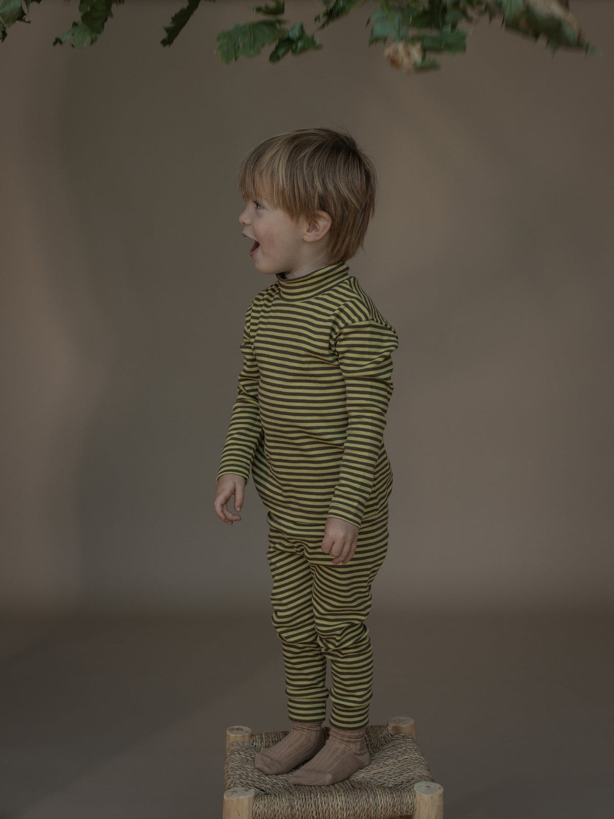 Organic Zoo Chicory Stripes Turtle Neck Top