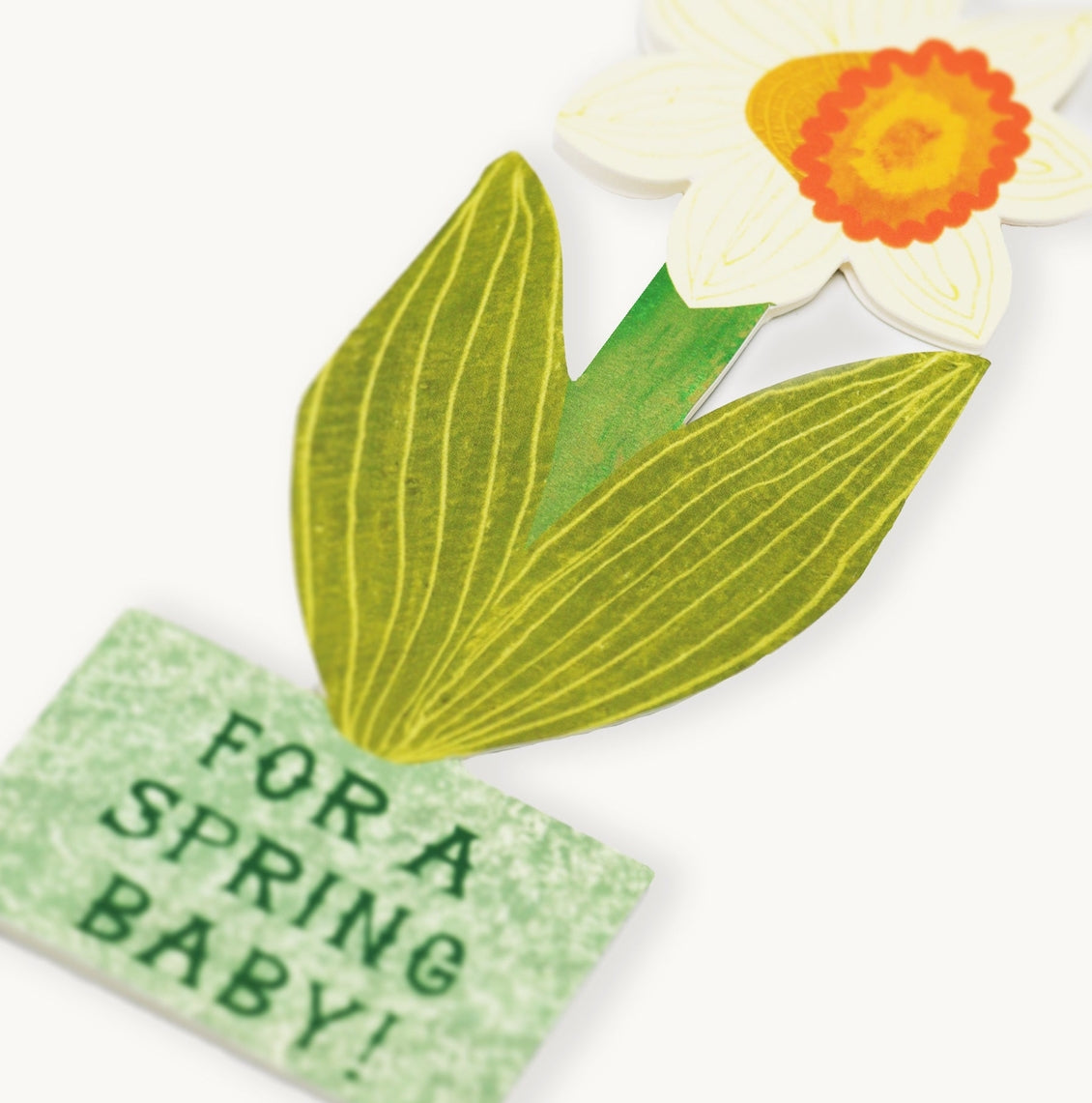 Hadley Paper Goods For A Spring Baby, Daffodil Greeting Card