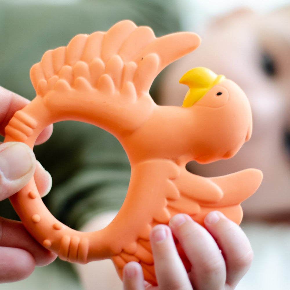 
                  
                    Natruba Teether Parrot - Orange
                  
                