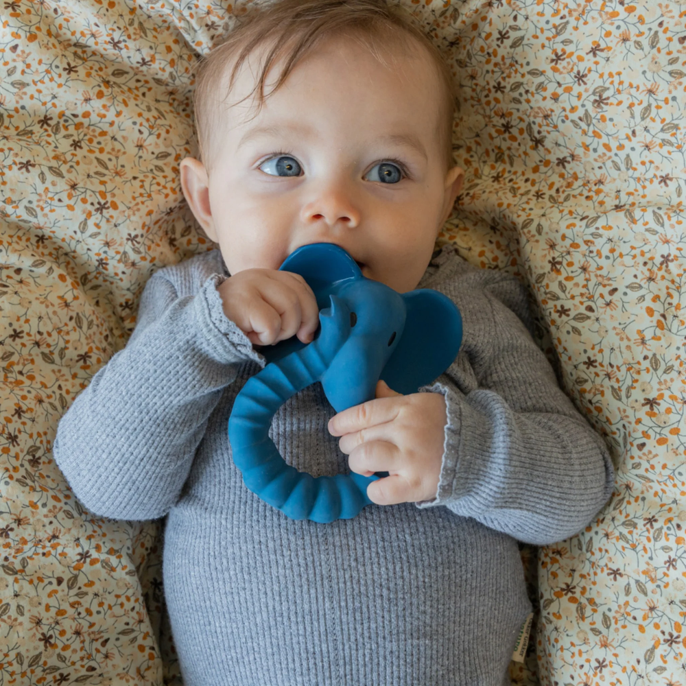 
                      
                        Natruba Teether Elephant - Blue
                      
                    