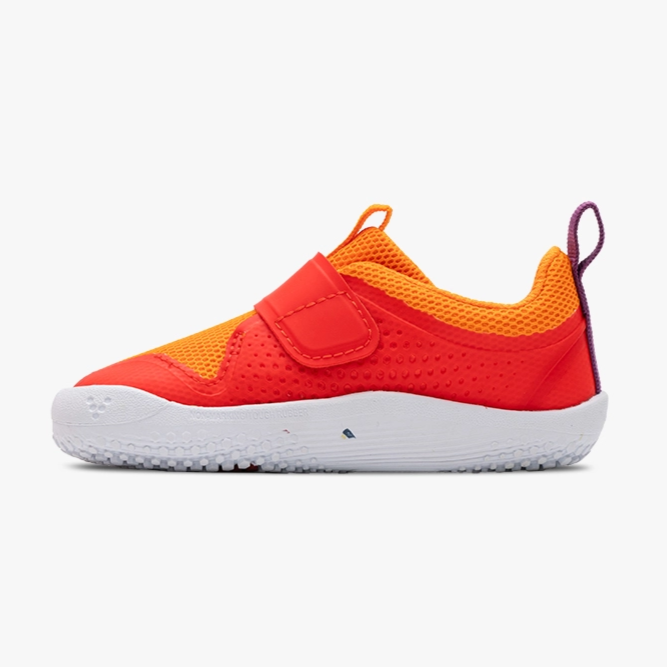 
                      
                        Vivobarefoot Vivo Barefoot Toddler Primus Sport III - Cherry Tomato
                      
                    