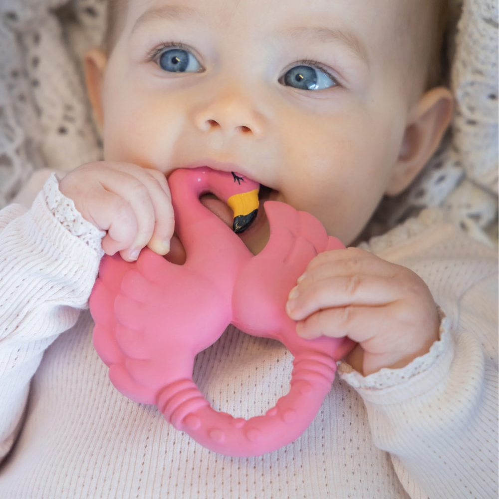 
                      
                        Natruba Teether Flamingo - Pink
                      
                    