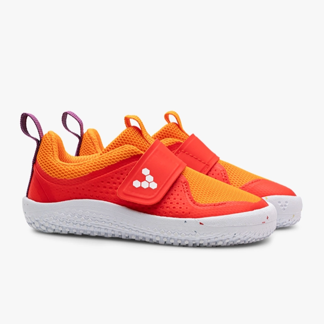 
                      
                        Vivobarefoot Vivo Barefoot Toddler Primus Sport III - Cherry Tomato
                      
                    