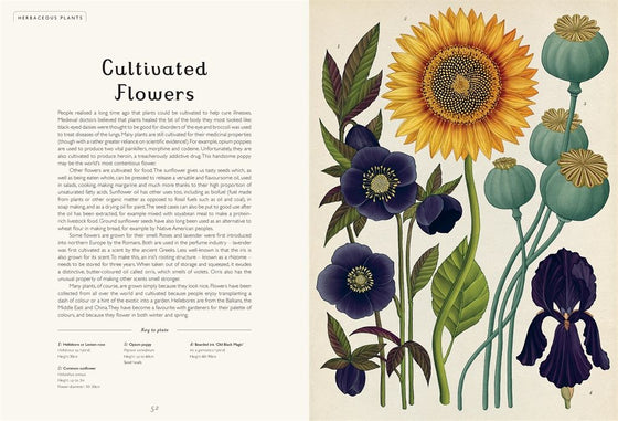Botanicum - Kathy Willis/Katie Scott