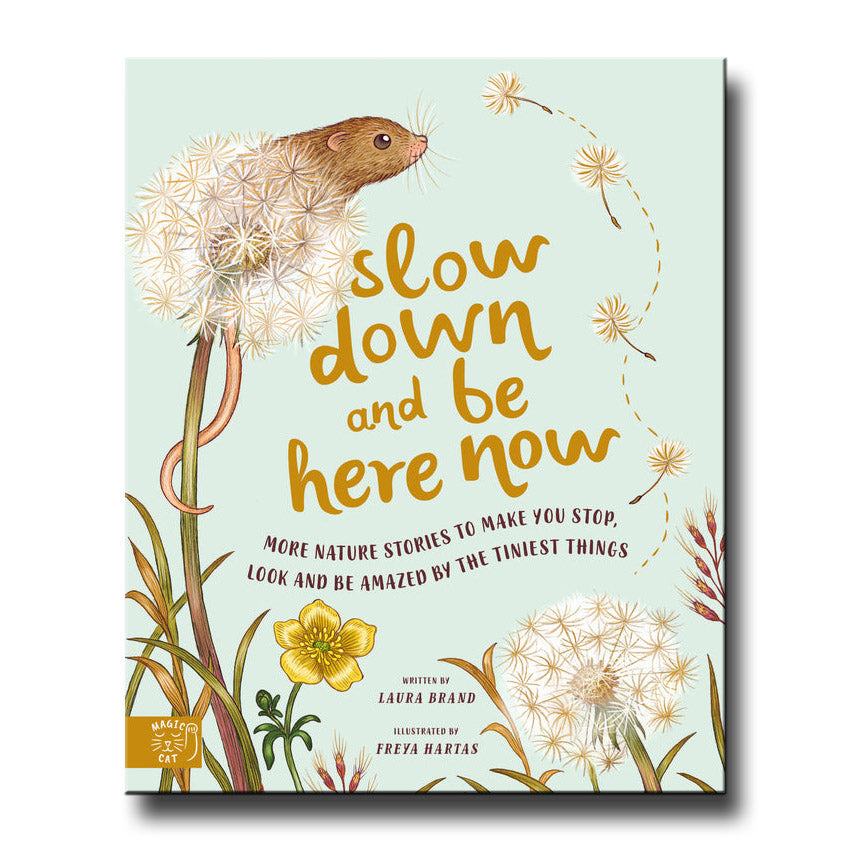 Magic Cat Publishing Slow Down and Be Here Now - Laura Brand