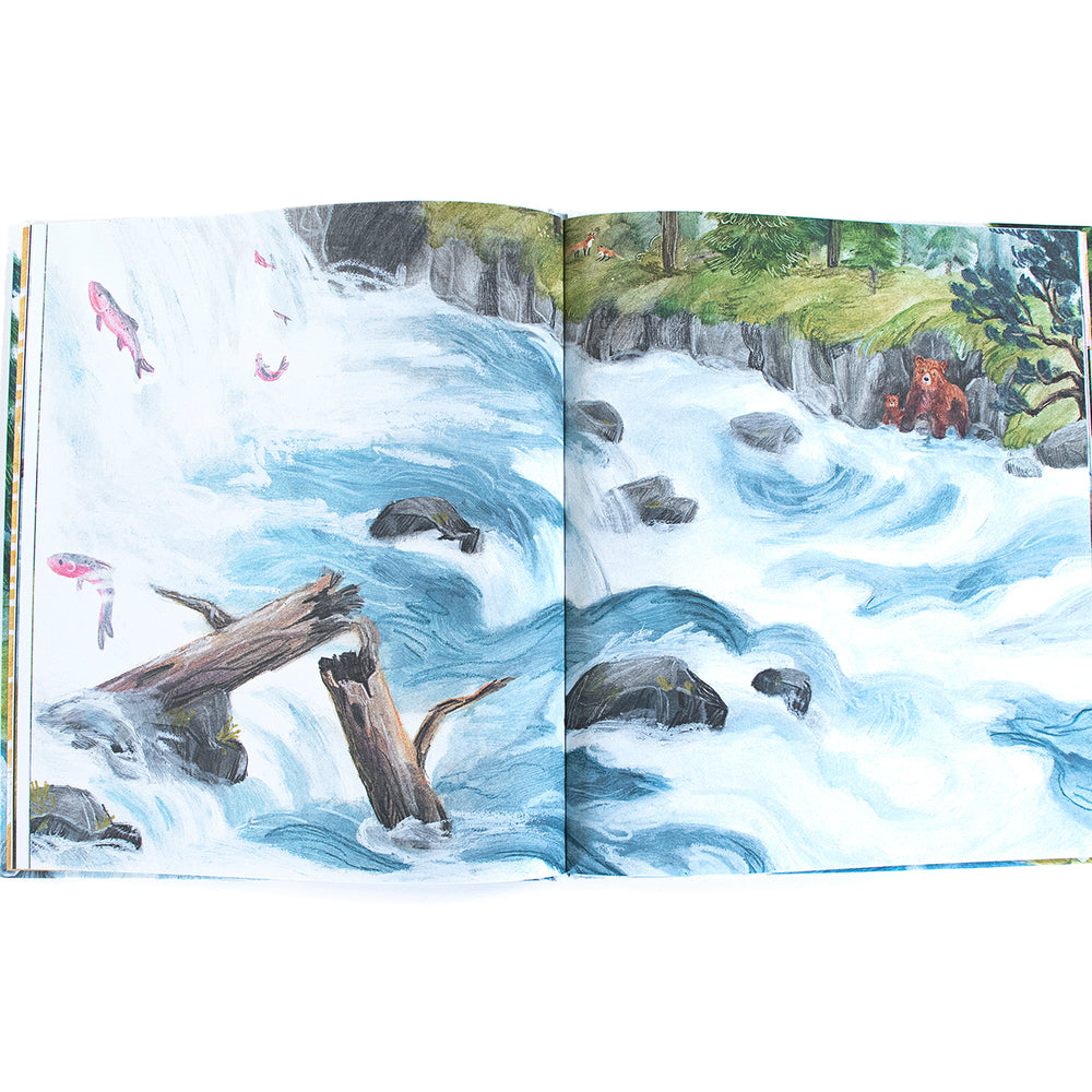 
                  
                    Flying Eye Books As Strong as the River - Sarah Noble
                  
                
