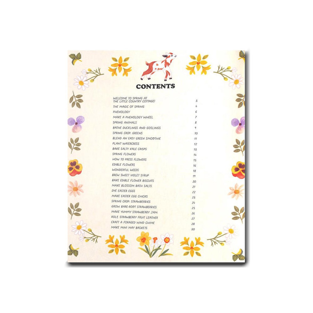 Ivy Kids A Spring Treasury of Recipes, Crafts and Wisdom - Angela Ferraro-Fanning, Annelies Draws