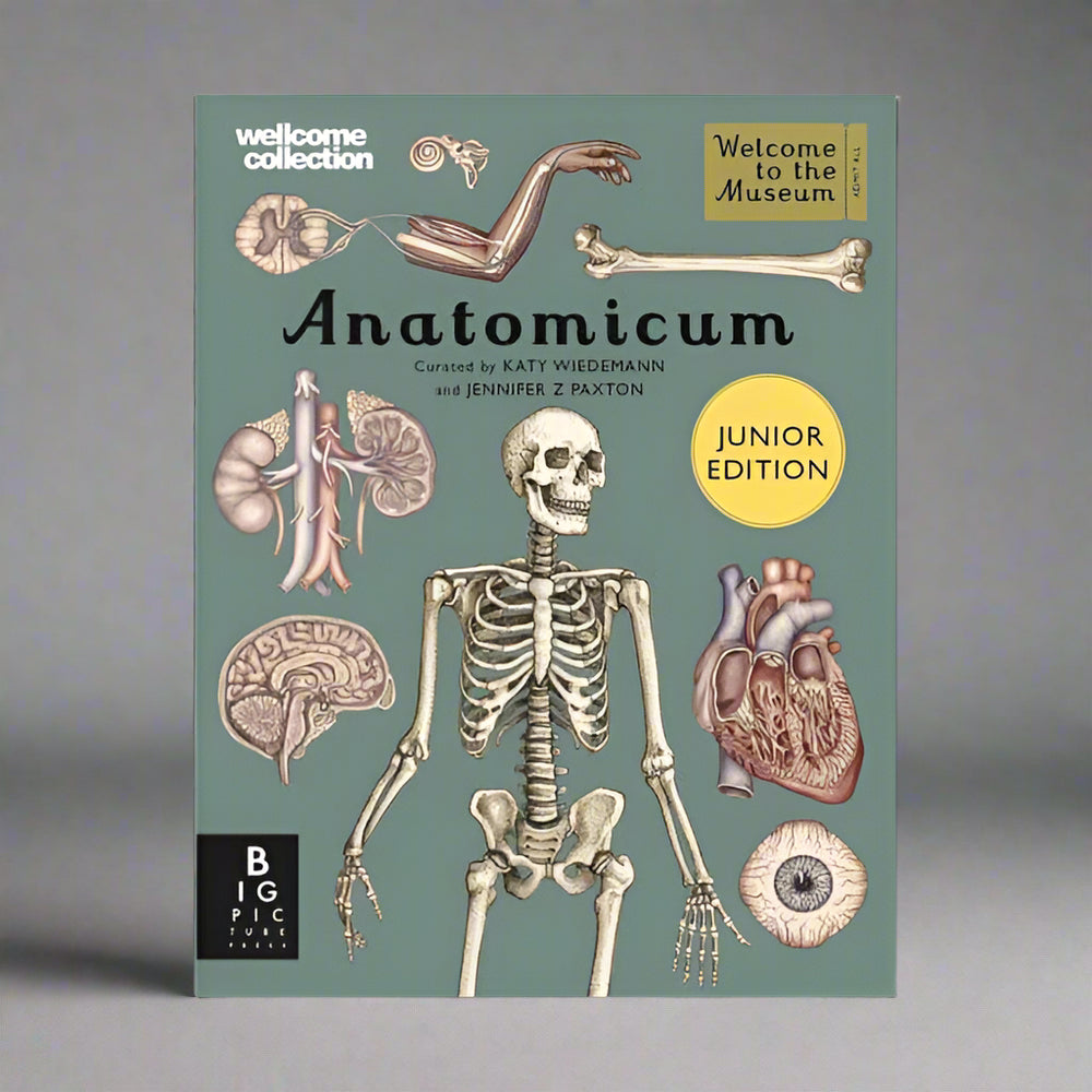 Big Picture Press Anatomicum (Junior Edition) - Jennifer Paxton, Katy Wiedemann, Welcome Collection