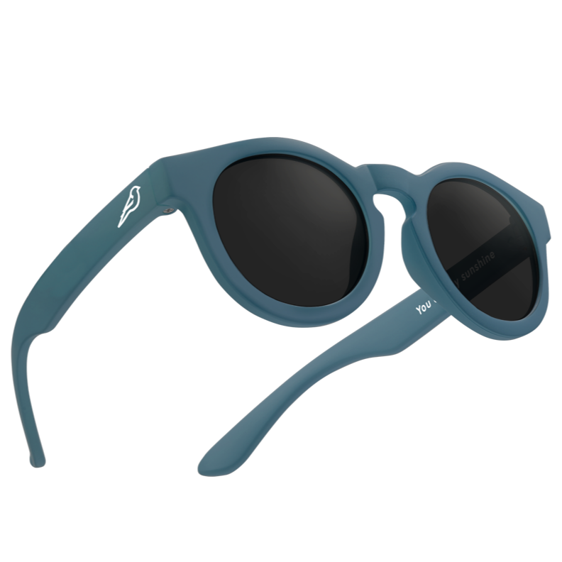 
                      
                        Bird Eyewear Sunglasses - Ocean Blue
                      
                    