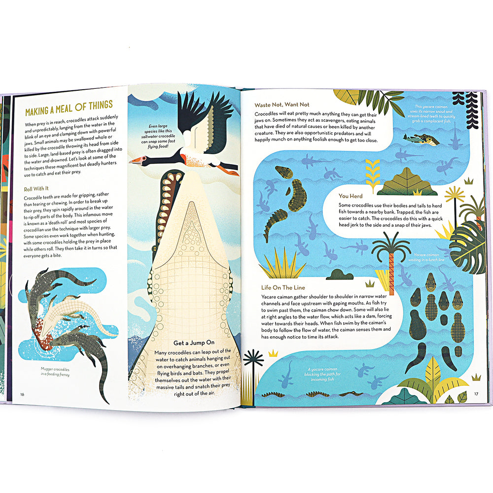 
                  
                    Flying Eye Books Curious About Crocodiles - Owen Davey
                  
                