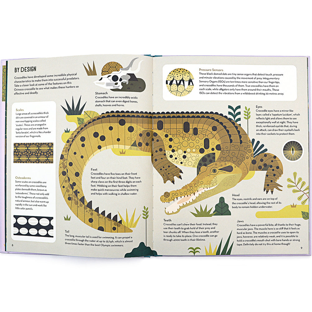 
                  
                    Flying Eye Books Curious About Crocodiles - Owen Davey
                  
                
