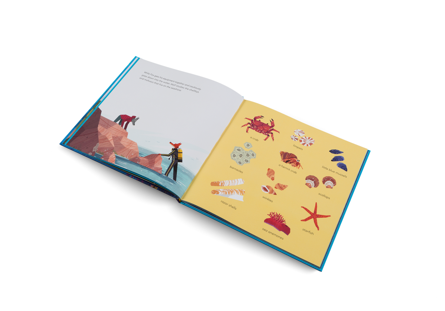 Little Gestalten Fox and the Deep Sea Quest