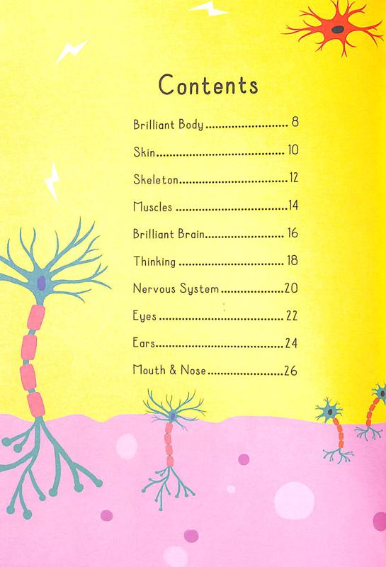 Templar Publishing Little Picture Press Human Body - Tell Me About... - Emily Dodd, Chorkung