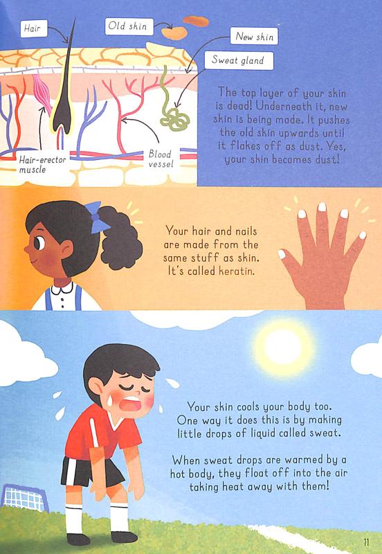 
                  
                    Templar Publishing Little Picture Press Human Body - Tell Me About... - Emily Dodd, Chorkung
                  
                