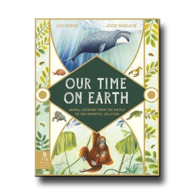 Big Picture Press Our Time On Earth - Lily Murray; Jesse Hodgson