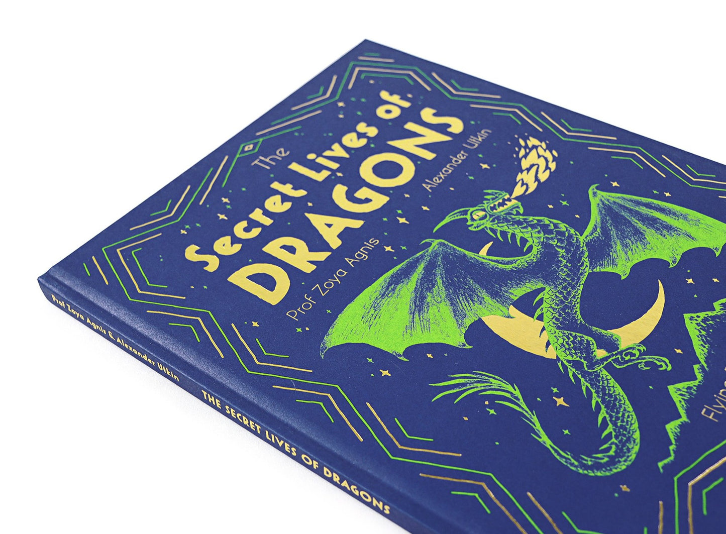 Flying Eye Books The Secret Lives of Dragons - Professor Zoya Agnis/Alexander Utkin