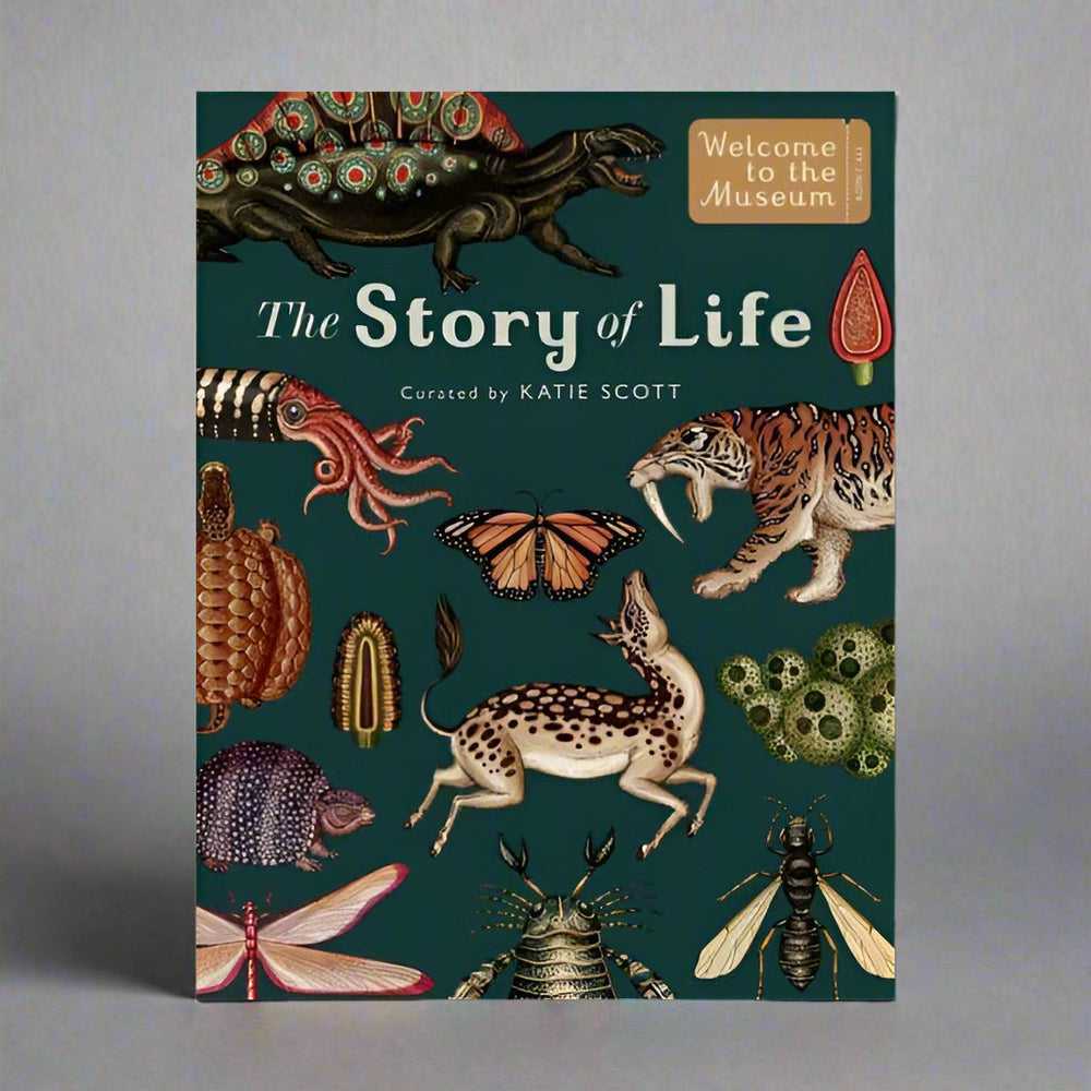 
                  
                    Templar Publishing The Story of Life - Ruth Symons/Katie Scott
                  
                