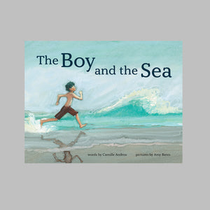 Abrams the Art of Books The Boy and the Sea - Camille Andros, Amy June Bates