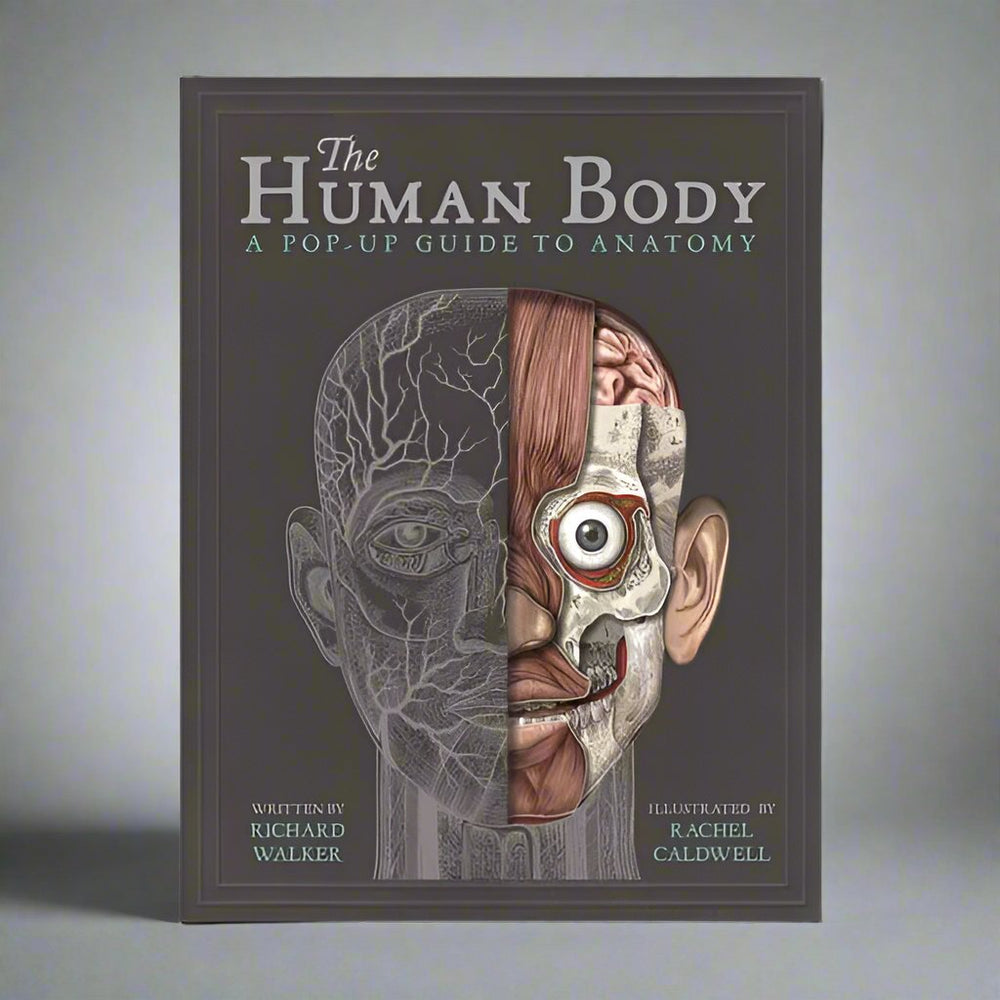 Templar Publishing The Human Body A Pop-Up Guide to Anatomy - Richard Walker, Rachel Caldwell