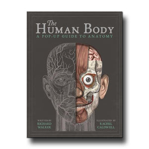 Templar Publishing The Human Body A Pop-Up Guide to Anatomy - Richard Walker, Rachel Caldwell