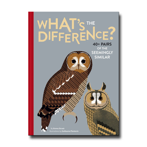 What's the Difference - Emma Strack/Guillaume Plantevin