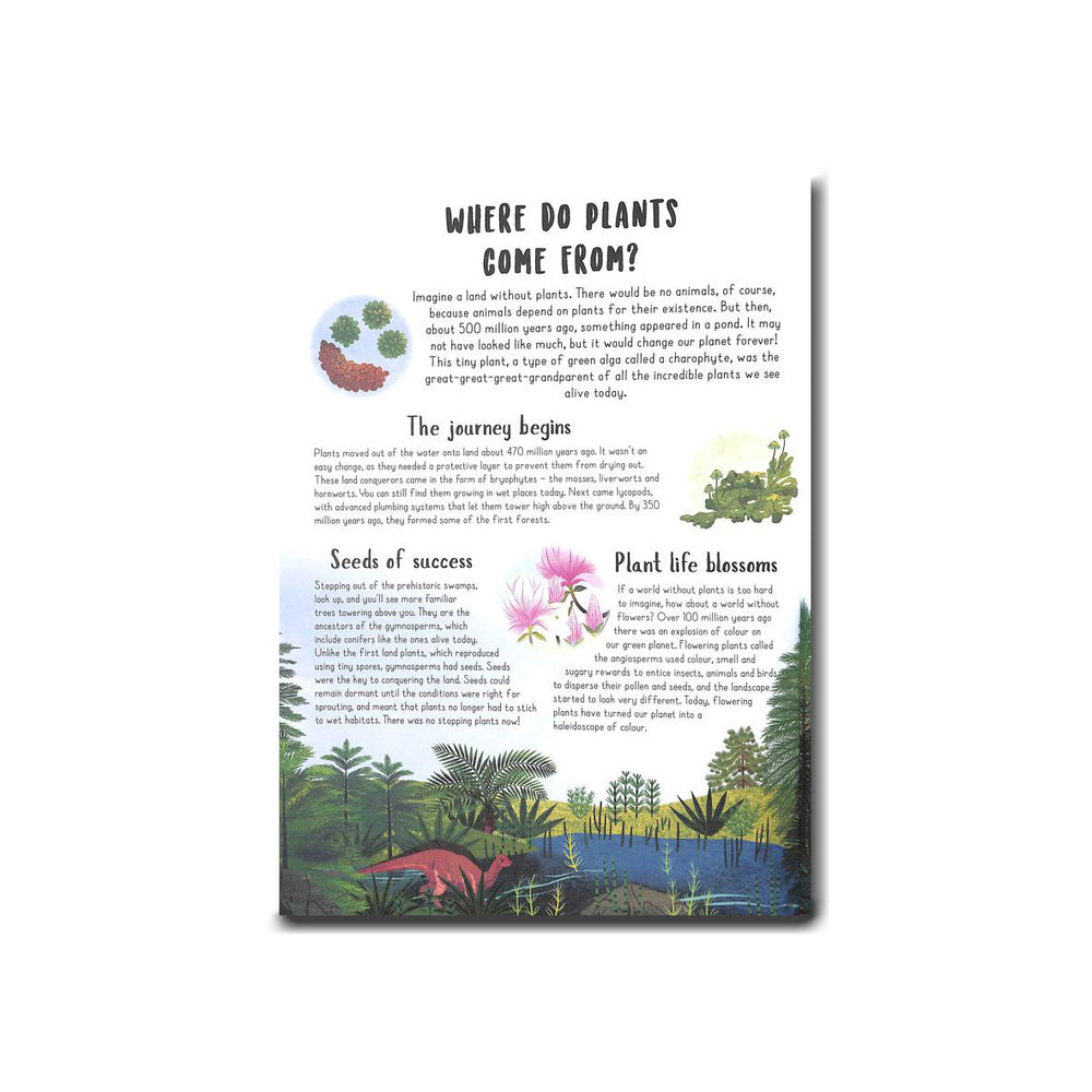 
                  
                    QED Publishing When Plants Took Over the Planet - Chris Thorogood, Amy Grimes
                  
                