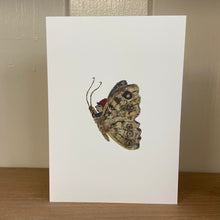  Butterfly Ride Greetings Card