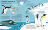 Penguins and Polar Bears - Alicia Klepeis, illustrated by Grace Helmer