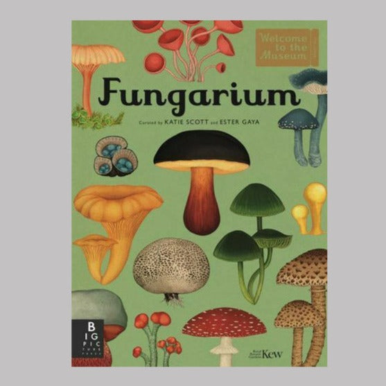 Bonnier Books Templar Publishing Fungarium  - Royal Botanic Gardens Kew/Katie Scott