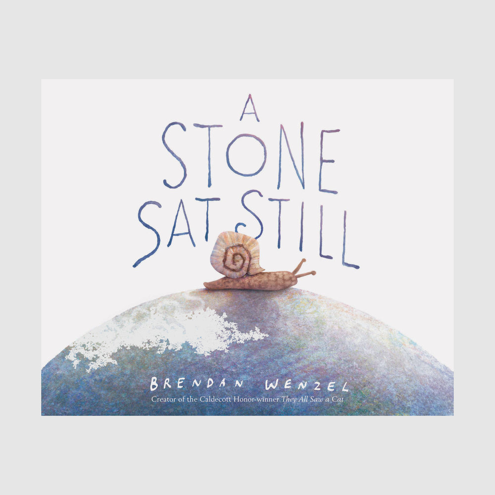 Abrams & Chronicle A Stone Sat Still - Brendan Wenzel